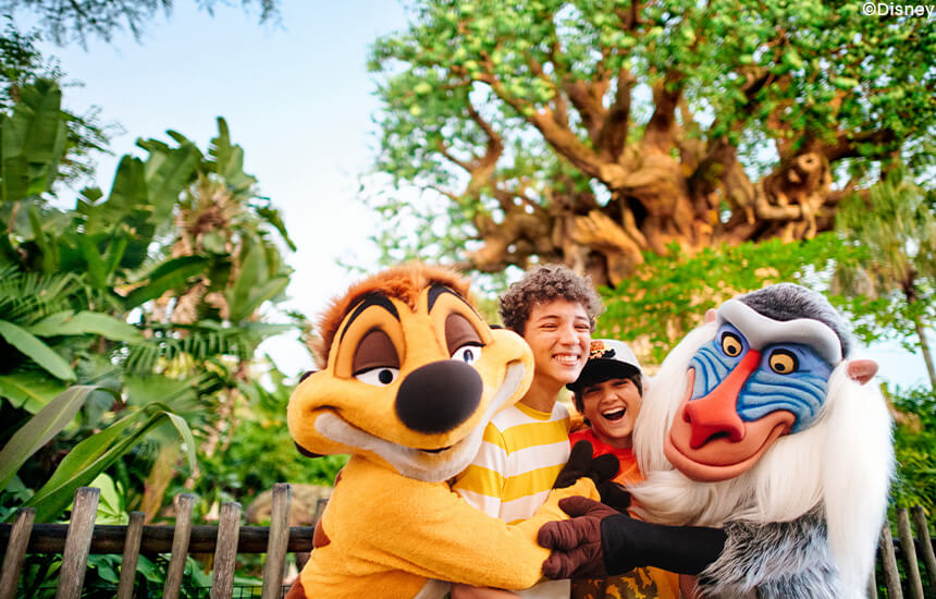 Walt Disney World