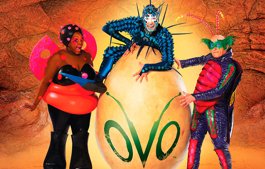 Cirque du Soleil’s Show