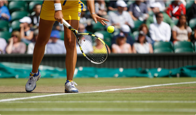 Wimbledon tournament